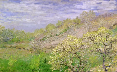 Arbres en fleurs